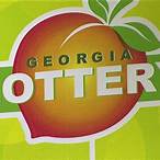 how much is the georgia lottery